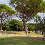 Trilo 6