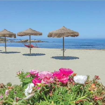 Trilo 6 * 빌라푸주